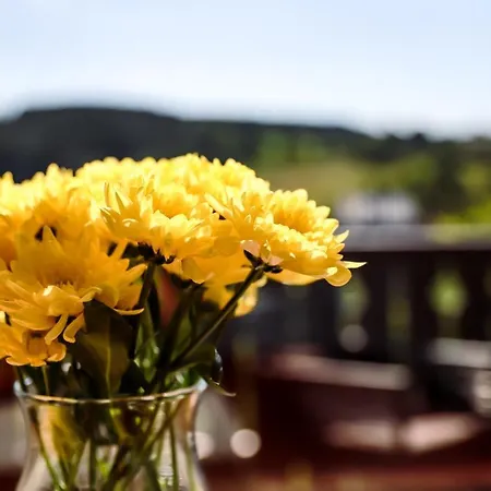 Apartment Sonnen Panorama - Abenteurer Und Weltentdecker *