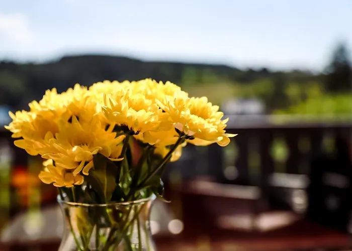 Appartement Sonnen Panorama - Abenteurer Und Weltentdecker *